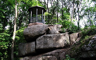 black wooden framed shed on rock formation surrounded by trees