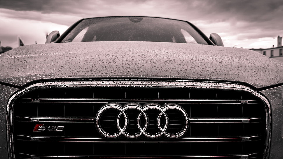 gray Audi car, vehicle, car, Audi, vehicle front HD wallpaper
