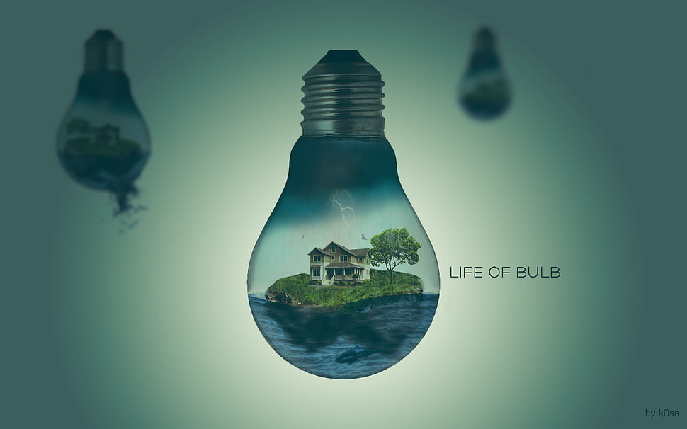 light bulb, light bulb HD wallpaper