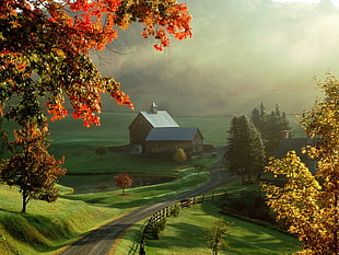 barn near road and trees illustration