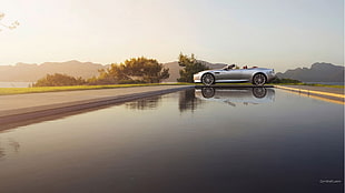 silver convertible coupe, Aston Martin DB9, silver cars, car, vehicle