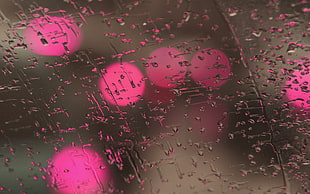 macro photography of glass with water drops