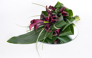green leaves and red calla lily flower