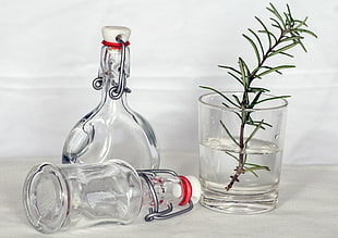 two clear glass decanters and a clear drinking glass with green plant and water
