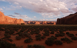 landscape photography of brown and green desert surrounded with rock canyons during daytime