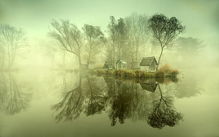 white wooden house, nature, landscape, calm, mist