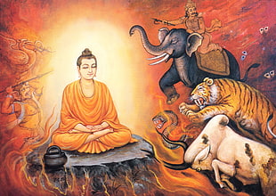Buddha illustration, Buddha, Enlightenment  HD wallpaper