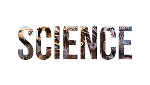 science text on white background, science, typography, nature, dinosaurs