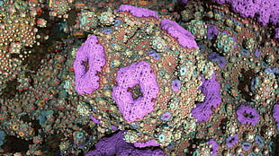 purple sea creatures HD wallpaper