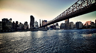 black and brown metal bridge, Queensboro Bridge, river, New York City, USA HD wallpaper