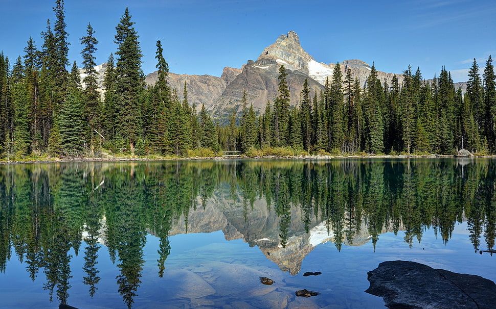 landscape photograph HD wallpaper