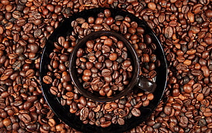 coffee bean photograph HD wallpaper