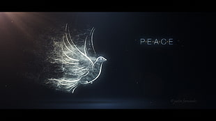 illustration of dove, dove, pure, artwork, digital art