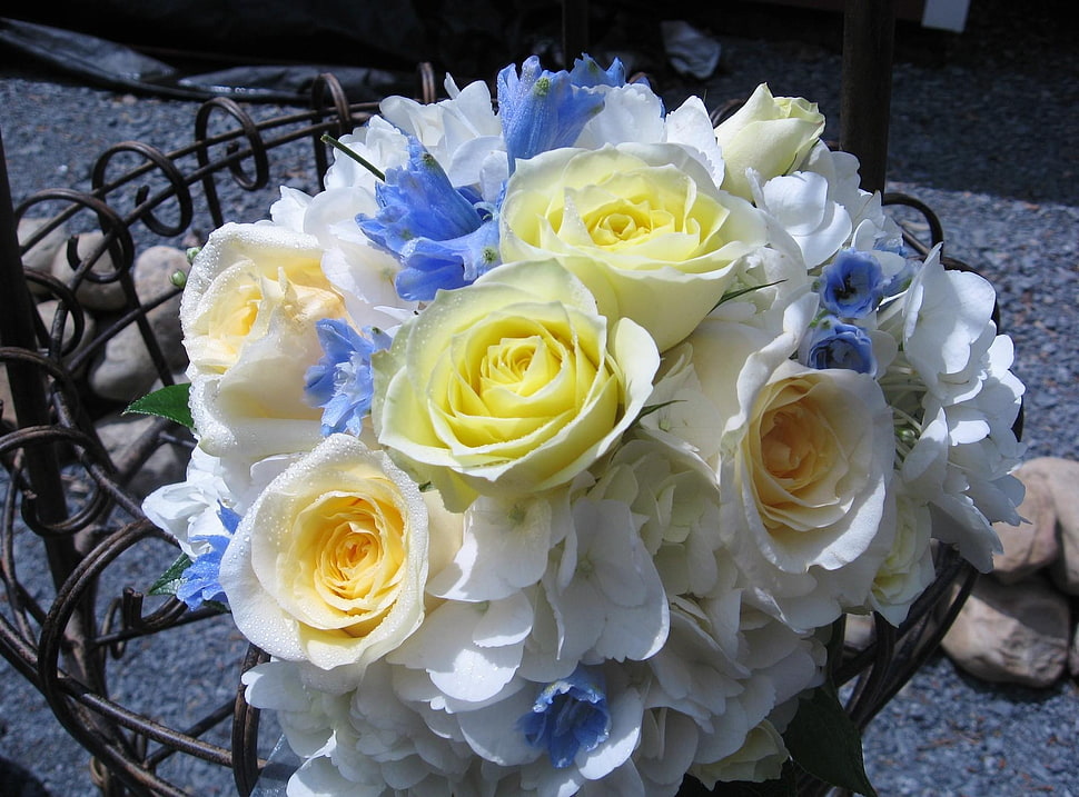 white and purple rose bouquet HD wallpaper
