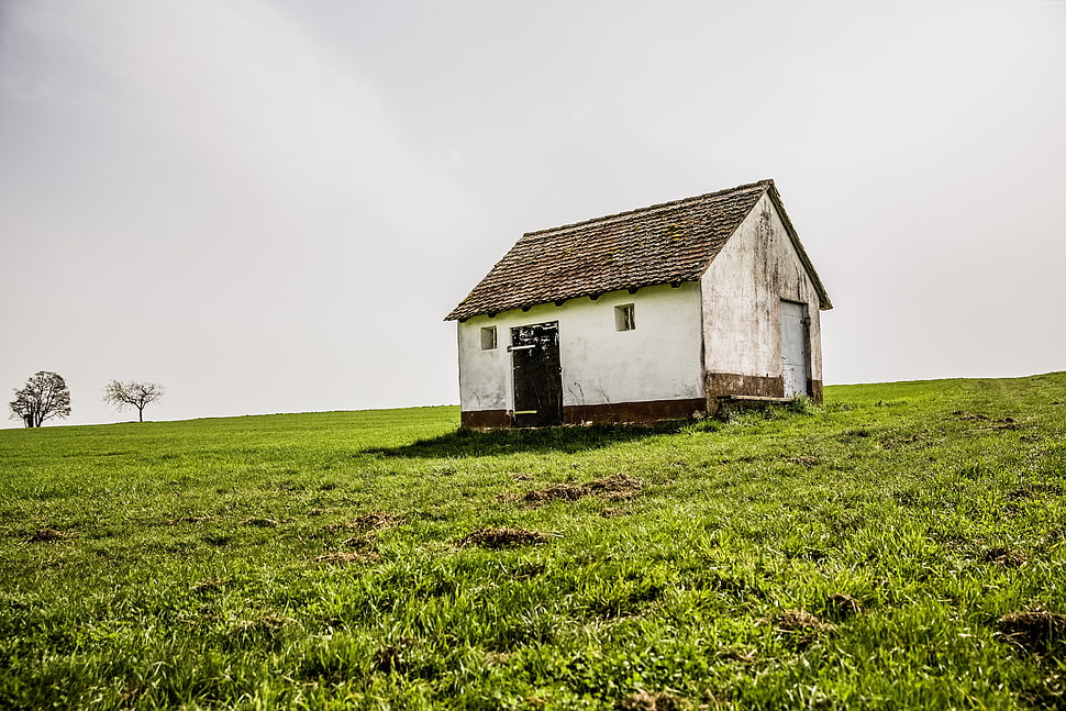 white and brown house in the middle of green fields HD wallpaper