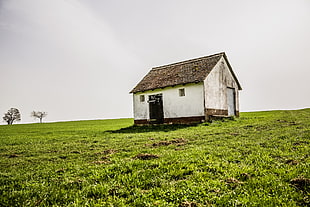 white and brown house in the middle of green fields