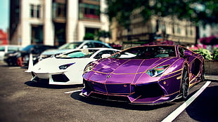 selective focus photography of two white and purple Lamborghini Aventador sport coupes on road during daytime