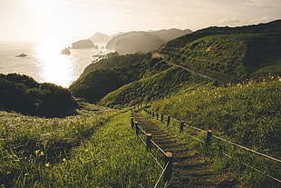 pathway on green mountain