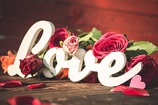 white Love free standing letters with pink rose HD wallpaper