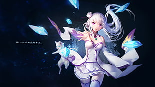 female anime character wallpaper, Re:Zero Kara Hajimeru Isekai Seikatsu, Emilia (Re: Zero), Puck (Re:Zero), thigh-highs