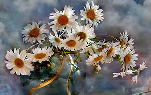 shallow focus of daisies