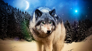 painting of brown and black wolf, wolf, animals, wildlife, Photoshop