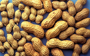 brown peanuts