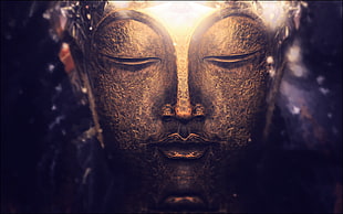 Buddha head bust illustration HD wallpaper