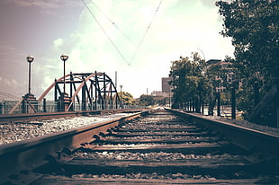 brown trail rails, tracks, bridge, city