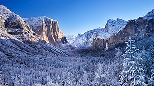 pine trees and mountain, snow, sky, Yosemite National Park, mountains HD wallpaper