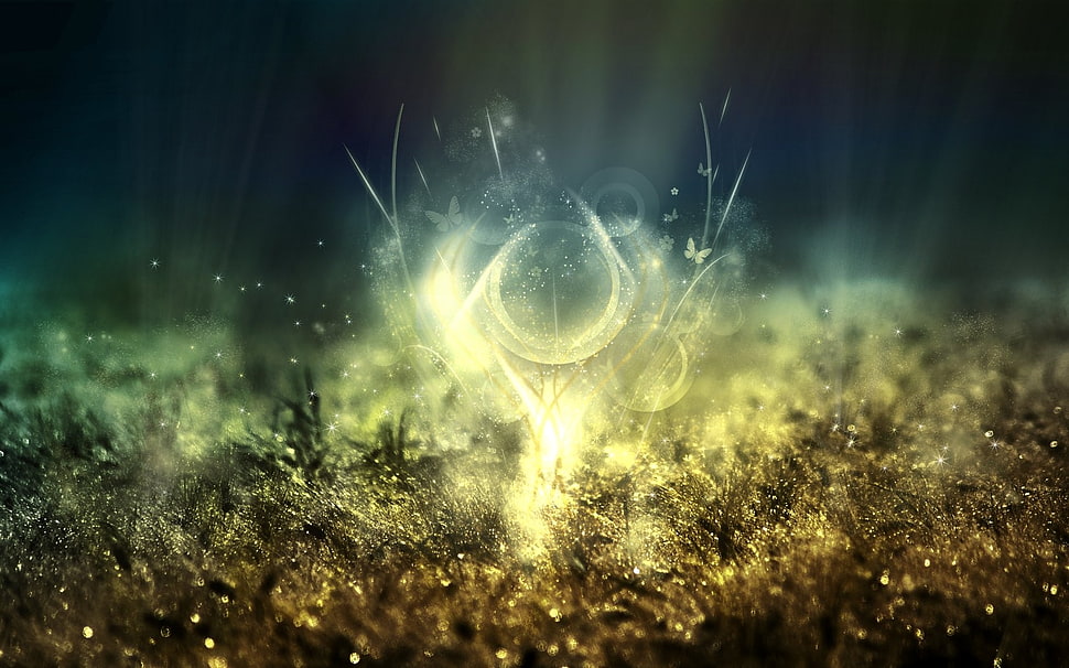 light photography HD wallpaper