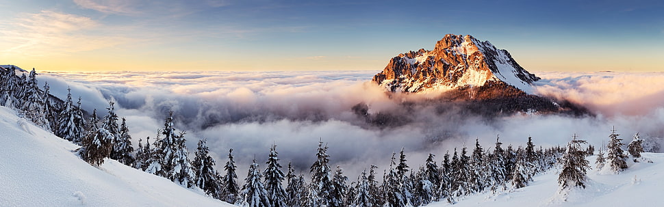 mountain covered white snow HD wallpaper