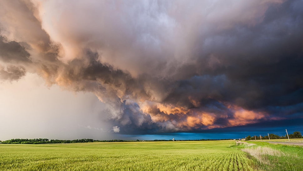 green field, storm HD wallpaper