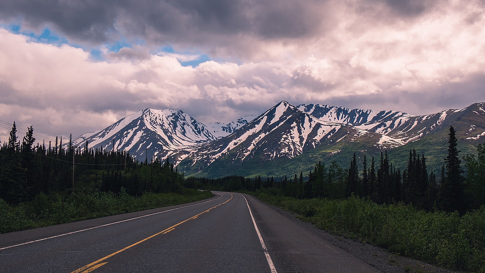 green leafed trees, road, mountains, landscape, clouds HD wallpaper