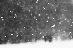 winter, monochrome, bokeh, snow HD wallpaper
