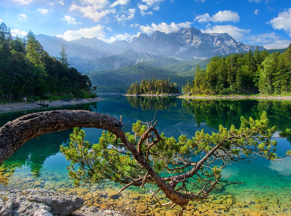 mountain range and body of water, lake, Germany, forest, summer HD wallpaper