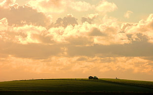 green grassland, landscape, clouds, field