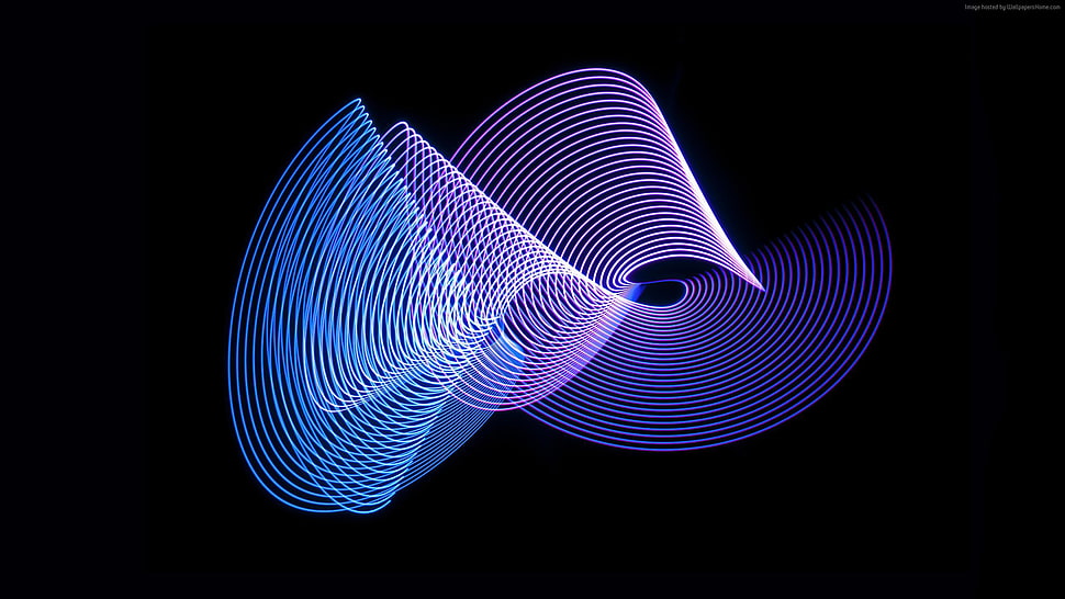 blue, purple, and white string artwork digital wallpaper HD wallpaper