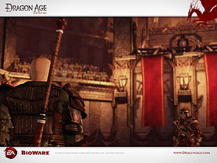 Dragon Age poster, video games, Dragon Age, Dragon Age: Origins HD wallpaper