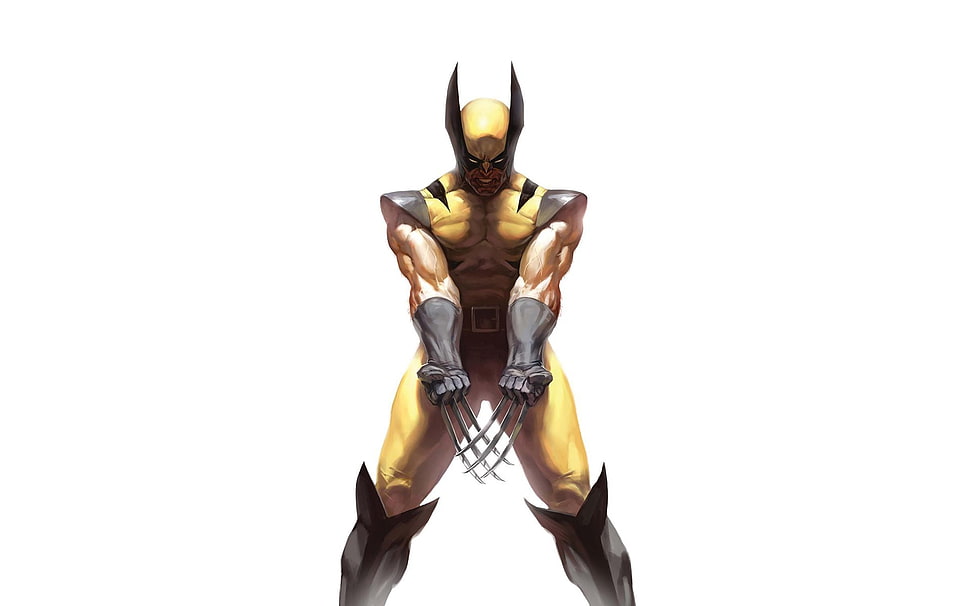 Marvel Wolverine wallpaper, Wolverine, Marvel Comics, artwork, comics HD wallpaper
