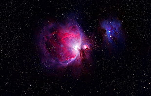 black, purple, and blue galaxy, Great Orion Nebula, space, universe
