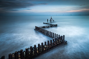 black wooden logs on body of water, nature, pier, long exposure, sea
