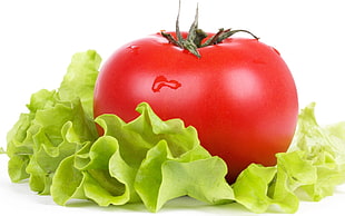 red tomato with green leaves lettuce