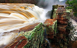 waterfalls and trees, waterfall HD wallpaper