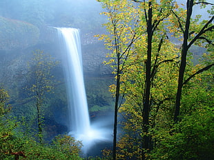 timelapse photo of waterfalls with trees on the side
