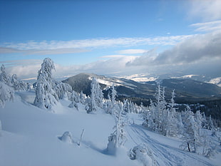 snowcap mountain