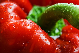 macro photography of red bell pepper HD wallpaper