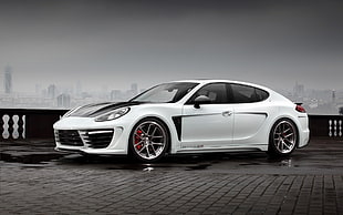 white Porsche Panamera sedan, TopCar, Porsche, Porsche Panamera Stingray GTR, Porsche Panamera HD wallpaper