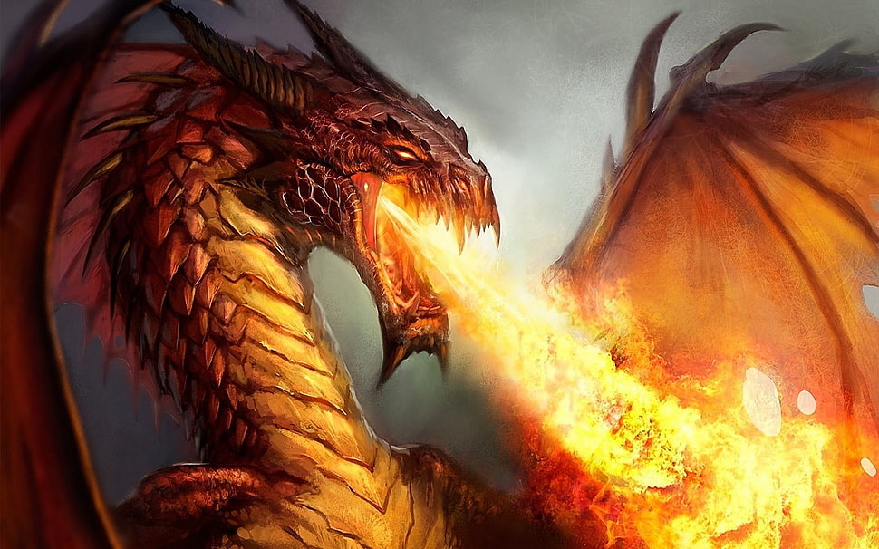 brown dragon illustration, fantasy art, dragon, fire, artwork HD wallpaper