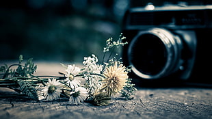 white and black flower painting, camera, flowers